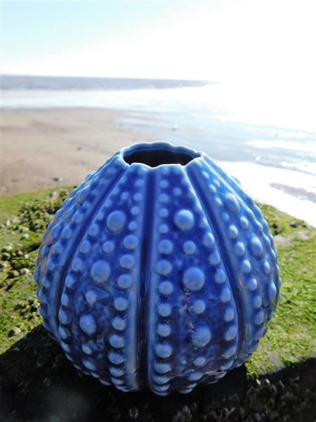 Pretty blue echinus vase