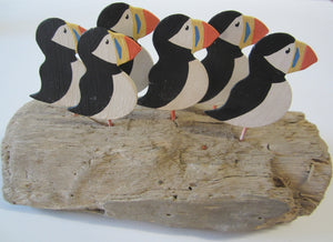 Puffin family on coastal driftwood